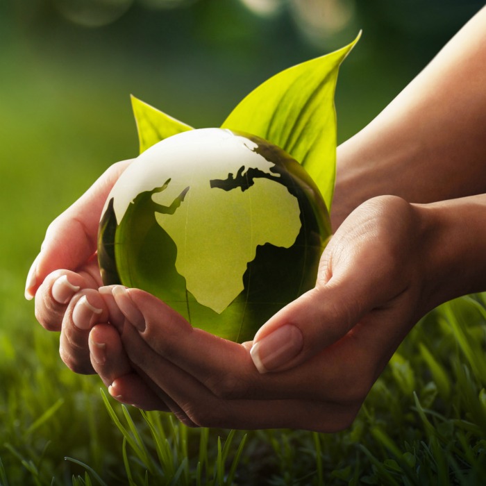 Social Charity A