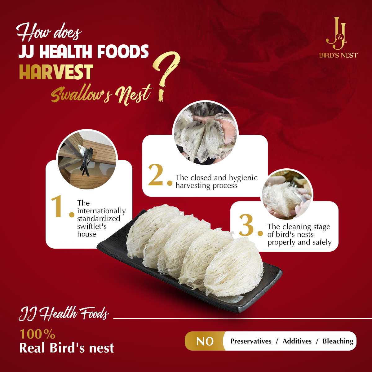 KHÁM PHÁ QUY TRÌNH THU HOẠCH TỔ YẾN NHÀ JJ HEALTH FOODS